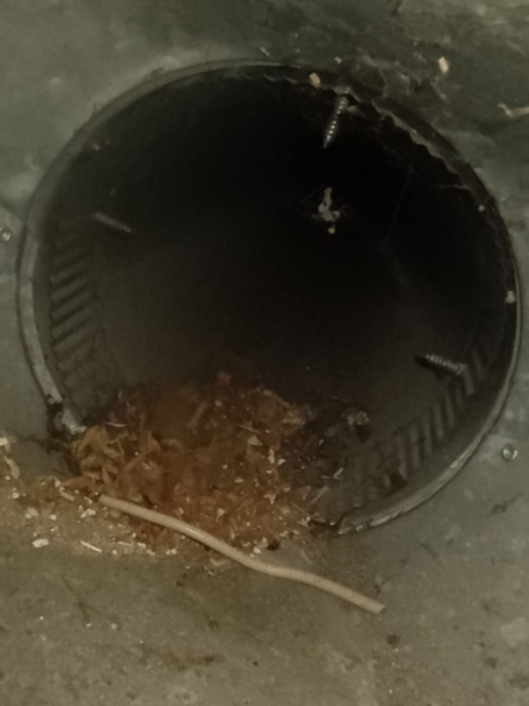 contact about air duct cleaning ca dryer vent cleaning ca air duct cleaning in newport beach dryer vent cleaning in newport beach contact about air duct cleaning ca dryer vent cleaning ca air duct cleaning in newport beach dryer vent cleaning in newport beach