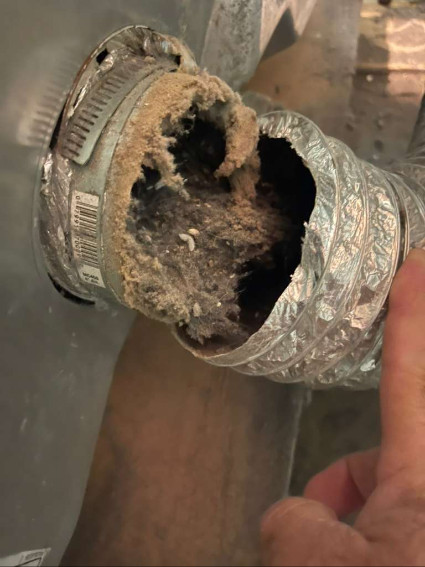contact about air duct cleaning ca dryer vent cleaning ca air duct cleaning in newport beach dryer vent cleaning in newport beach contact about air duct cleaning ca dryer vent cleaning ca air duct cleaning in newport beach dryer vent cleaning in newport beach